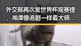 外交部再次发世界杯观赛提，湘潭像追剧一样看大师齐白石的红色热土黑料正能量