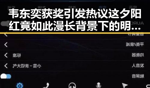 韦东奕获奖引发热议这夕阳红竟如此漫长背景下的明星黑料曝光