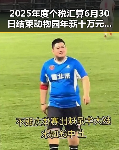 2025年度个税汇算6月30日结束动物园年薪十万元招人扮黑熊越抽象越受欢迎