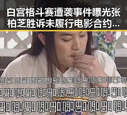 白宫格斗赛遭袭事件曝光 张柏芝胜诉未履行电影合约引发关注